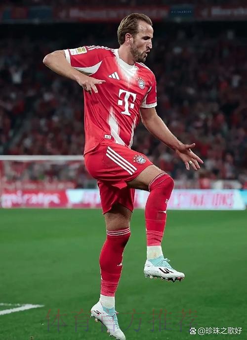 世界杯比利时凯恩焦点对决全面分析